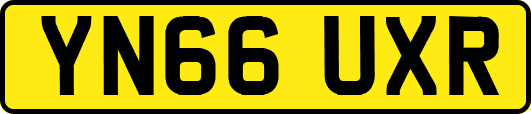 YN66UXR