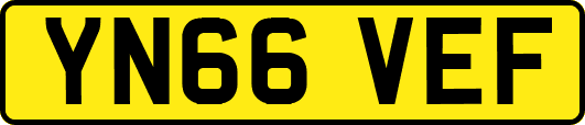 YN66VEF