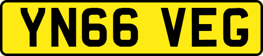YN66VEG
