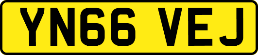 YN66VEJ