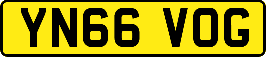 YN66VOG