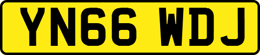 YN66WDJ