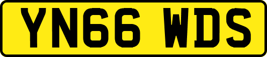 YN66WDS