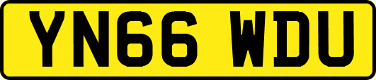 YN66WDU