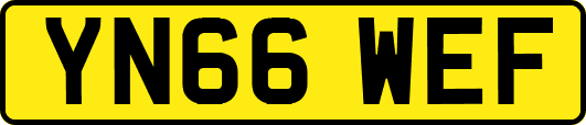 YN66WEF