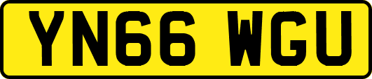 YN66WGU