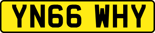 YN66WHY