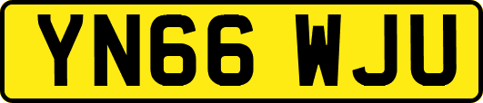YN66WJU
