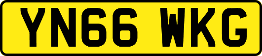 YN66WKG