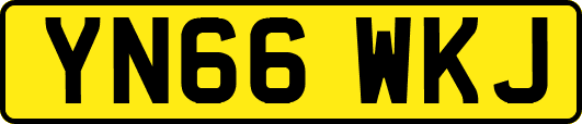 YN66WKJ