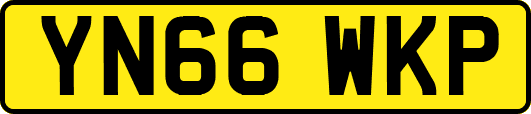 YN66WKP