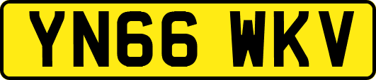 YN66WKV