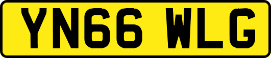 YN66WLG