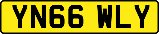 YN66WLY