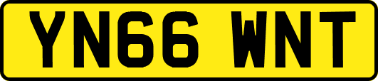 YN66WNT