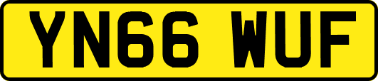 YN66WUF