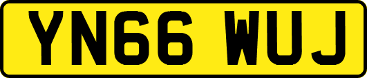 YN66WUJ