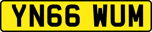 YN66WUM