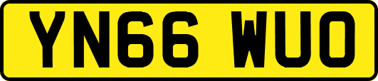 YN66WUO