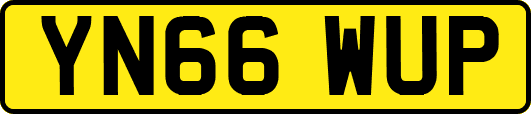 YN66WUP