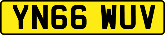 YN66WUV