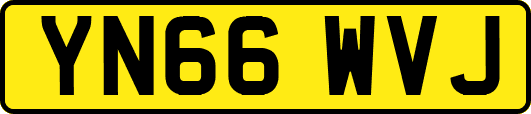 YN66WVJ