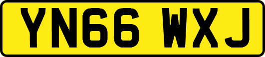 YN66WXJ