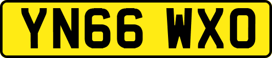 YN66WXO