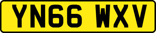 YN66WXV