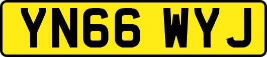 YN66WYJ