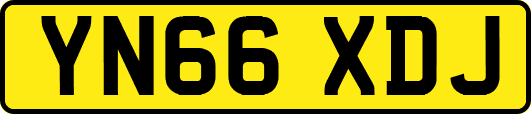 YN66XDJ