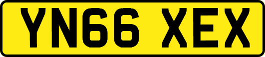 YN66XEX