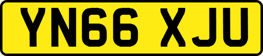 YN66XJU