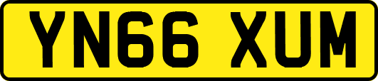 YN66XUM