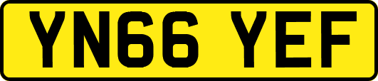 YN66YEF