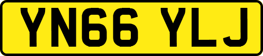 YN66YLJ