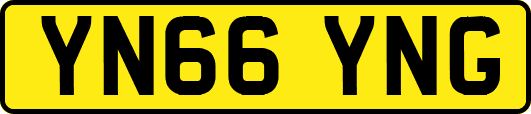 YN66YNG