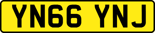 YN66YNJ