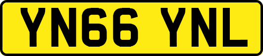 YN66YNL