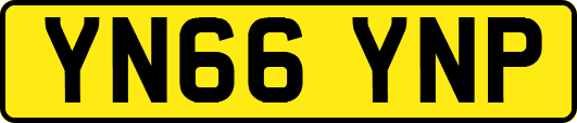 YN66YNP