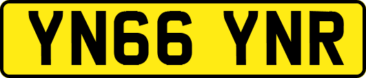 YN66YNR