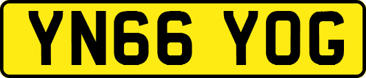 YN66YOG