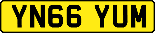 YN66YUM