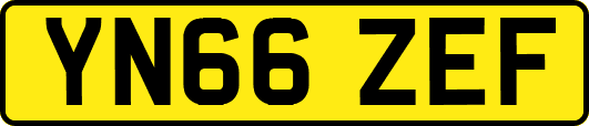 YN66ZEF