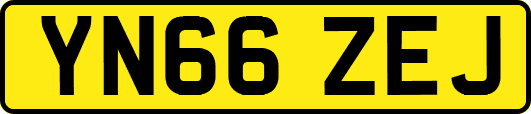 YN66ZEJ
