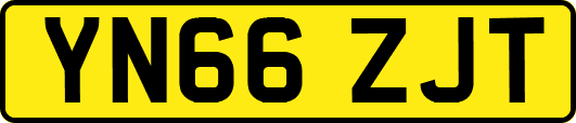 YN66ZJT