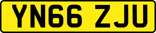 YN66ZJU
