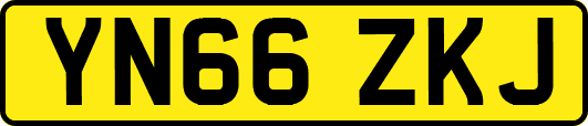 YN66ZKJ