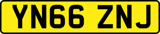 YN66ZNJ