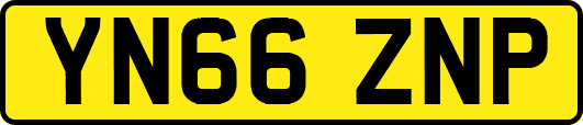 YN66ZNP